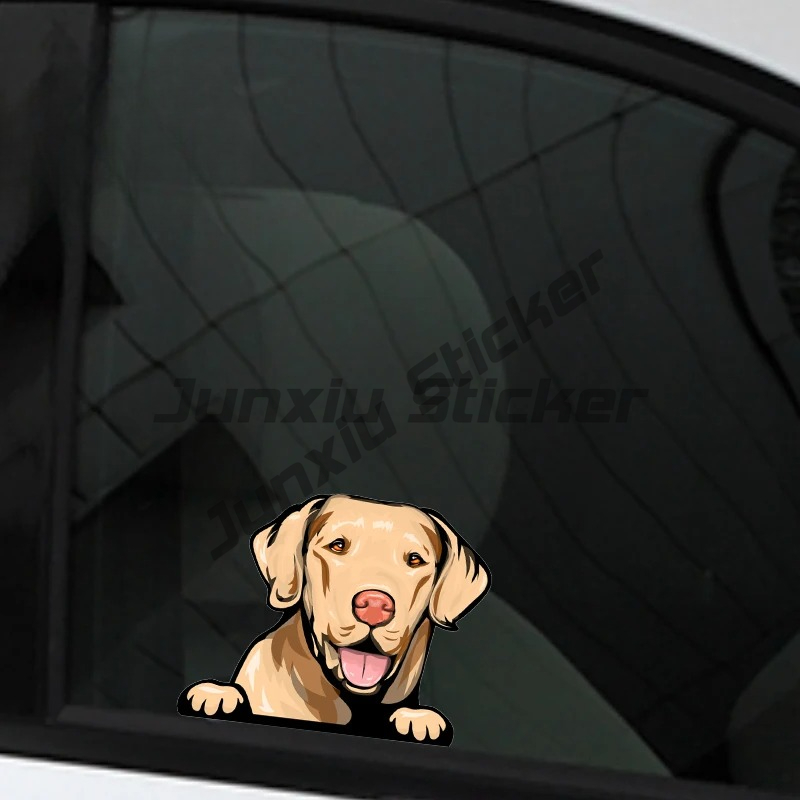 Labrador Retriever Peeker Auto – Yellow Laptop Accessories Bewertung und Preis