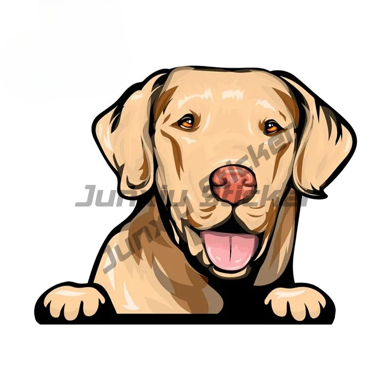 Labrador Retriever Peeker Auto – Yellow Laptop Accessories Bewertung und Preis